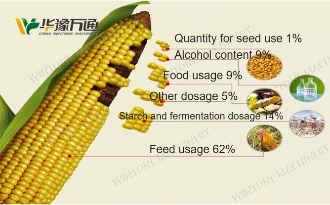 corn structure